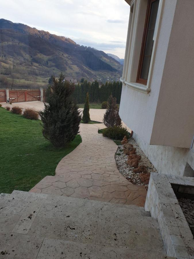 Vila Daria 3 Rucăr Exterior foto